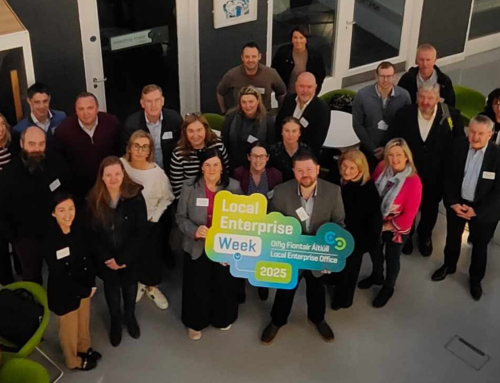 Local Enterprise Office Louth New Mentoring Panel 2025