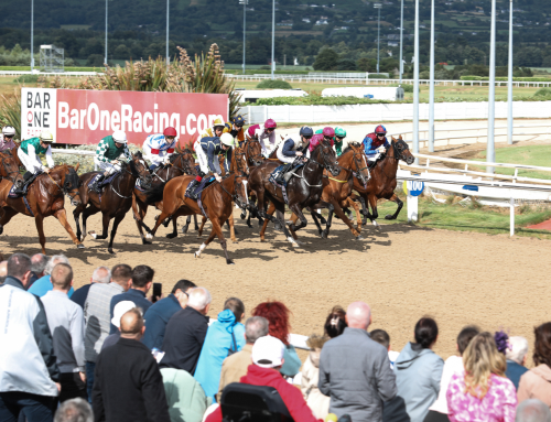 Dundalk Stadium Gears Up for Summer Meeting Following Final Dual Racing Fixture